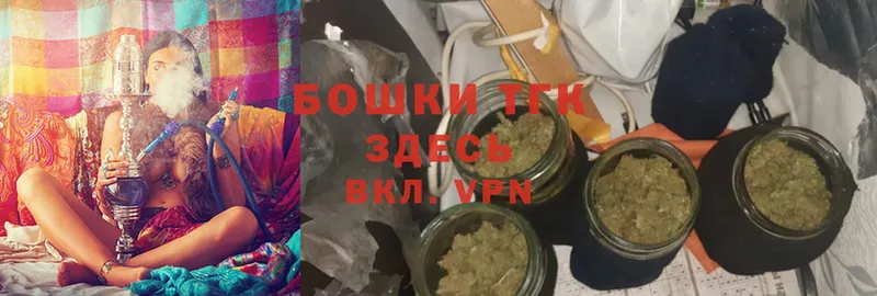 Конопля OG Kush  Ковылкино 